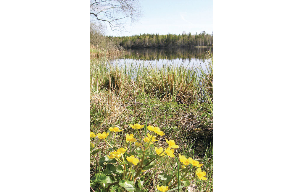 Feriehus - Sävsjö , Sverige - S05506 16