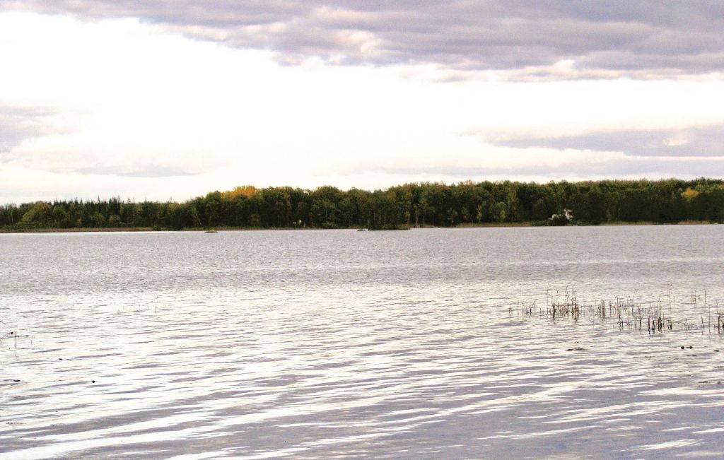 Ferienhaus - Grimslöv , Schweden - S05629 2