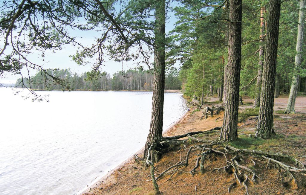 Feriehus - Jönköping/Sonarp , Sverige - S05696 2