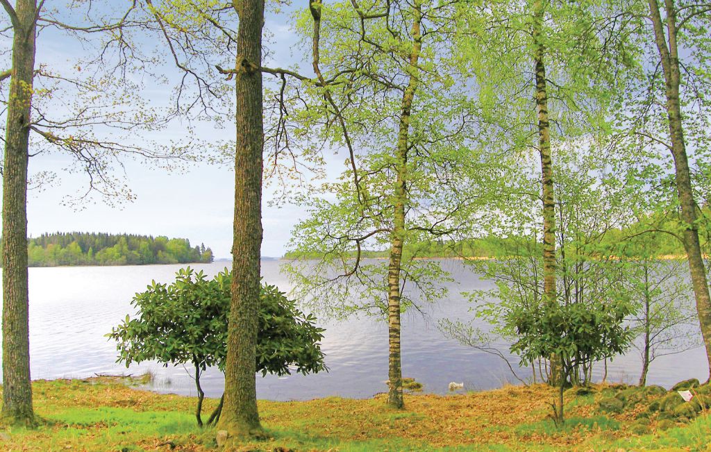 Ferienhaus - Björkenäs/Odensjö , Schweden - S05740 2