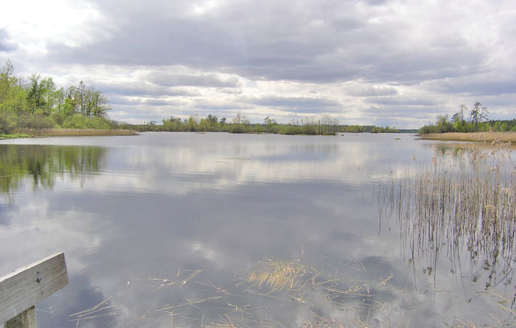 Feriehus - Tjurkö/Agunnaryd , Sverige - S05276 28