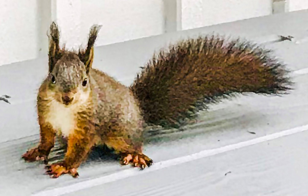 Feriehus - Sjötorpet/Bor , Sverige - S05737 34