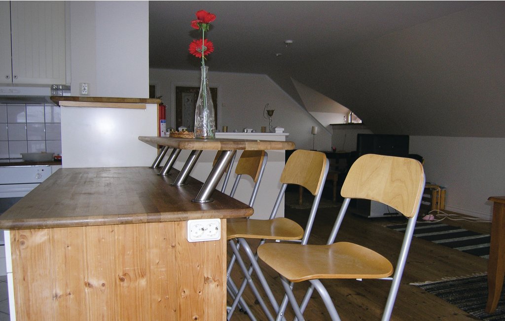 Ferienhaus - Björkenäs/Odensjö , Schweden - S05740 9