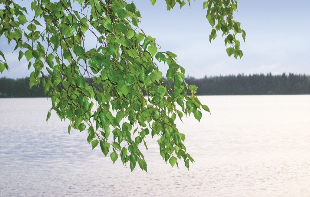 Semesterhus - Lagan , Sverige - S05459 20