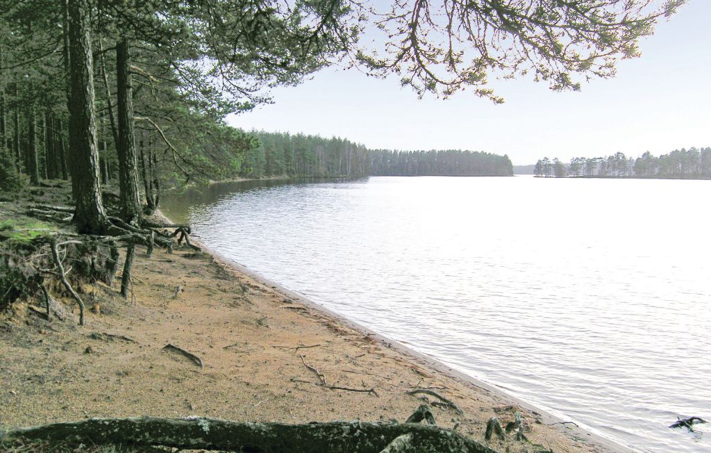 Feriehus - Jönköping/Sonarp , Sverige - S05696 16