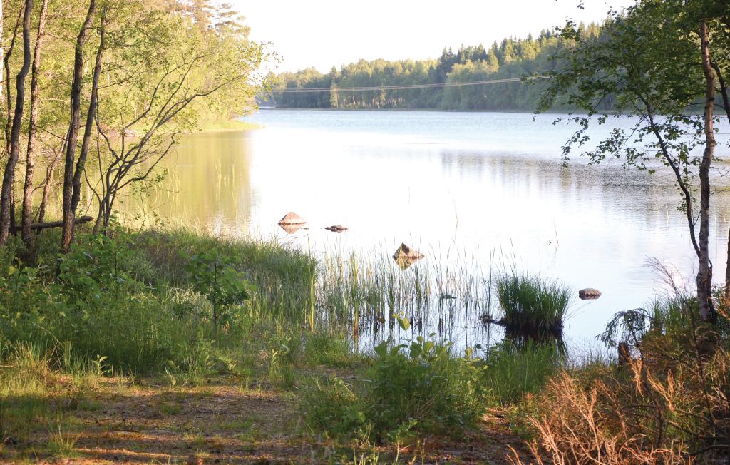 Semesterhus - Axaryd , Sverige - S05004 19