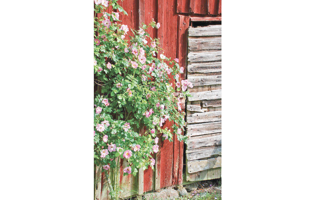 Feriehus - Sävsjö , Sverige - S05506 7