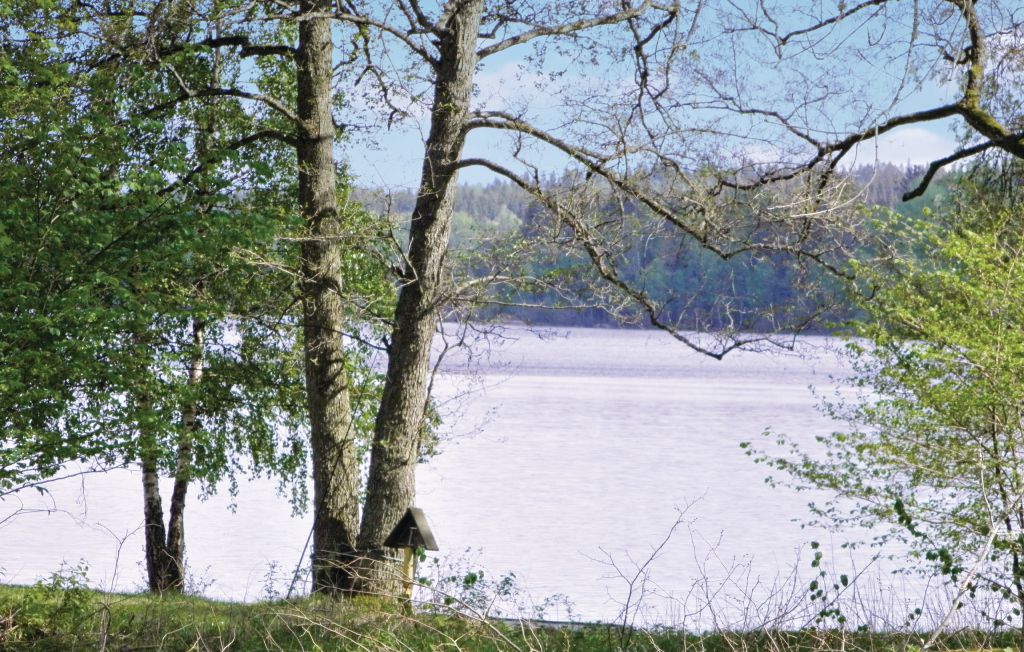 Feriehuse - Flishult Gård/Vetlanda , Sverige - S05833 2