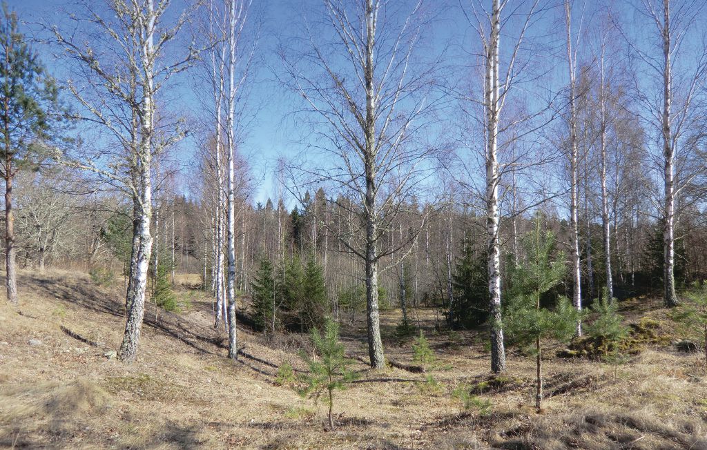 Ferienhaus - Fågelfors , Schweden - S05185 4