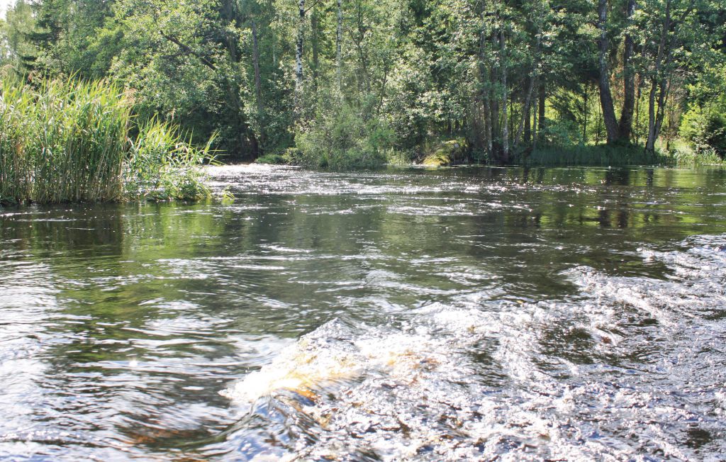 Feriebolig 