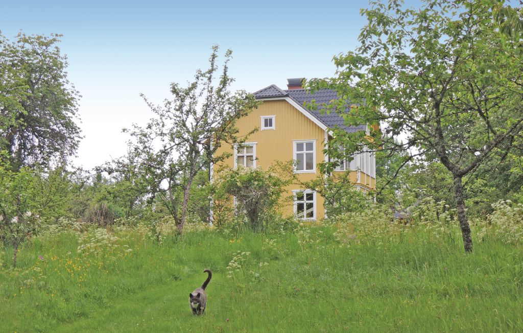 Bild 8 Bild 8
