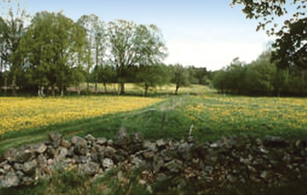 Gård i Linneryd, 5 bäddar – bild 2 av 5
