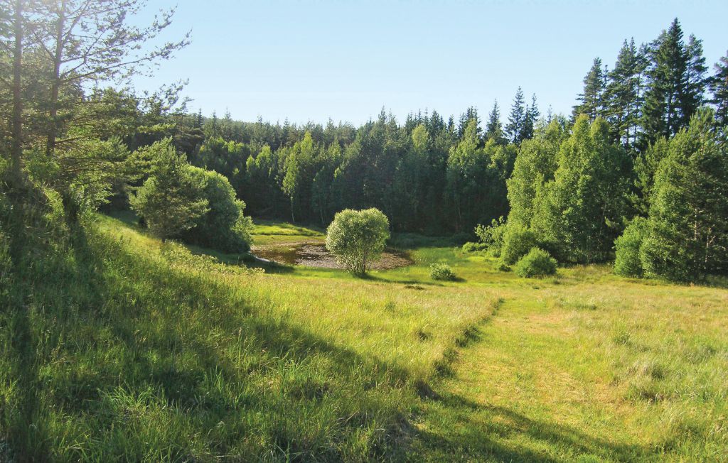 Bild 14
