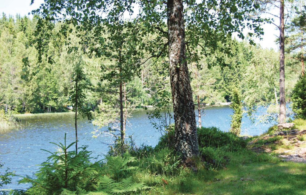 Feriehus - Nässja/Sävsjö , Sverige - S06381 22