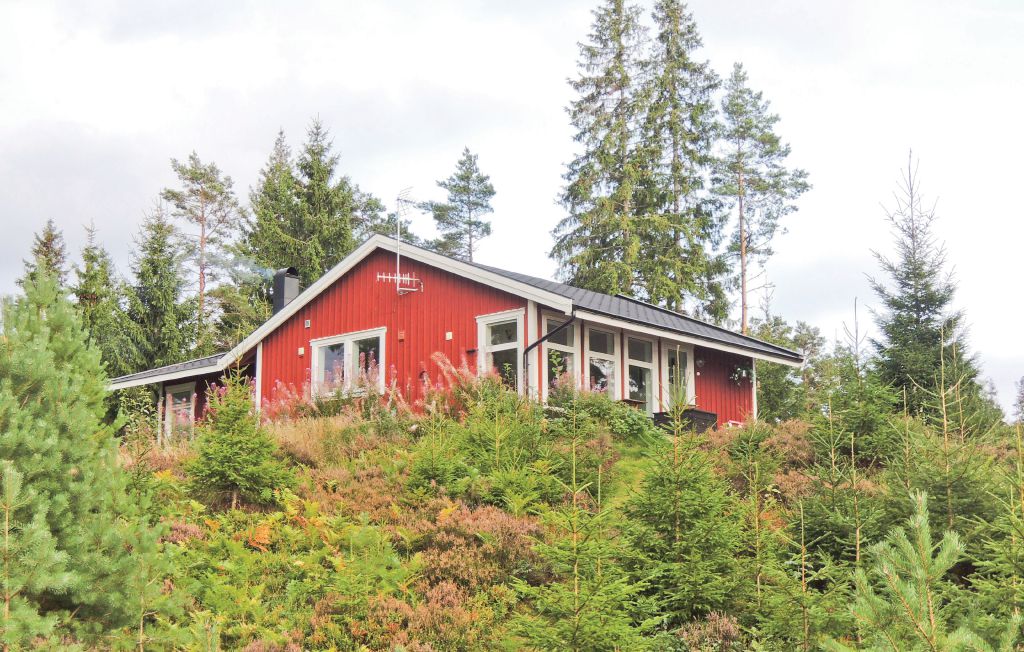 Semesterhus - Lammhult , Sverige - S06115 4