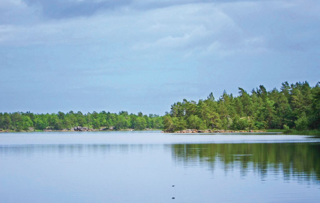 Ferienhaus - Figeholm , Schweden - S06551 2