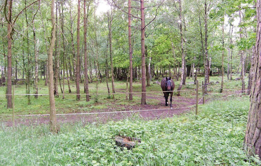 Feriehus - Torsås/Söderåkra , Sverige - S06045 9