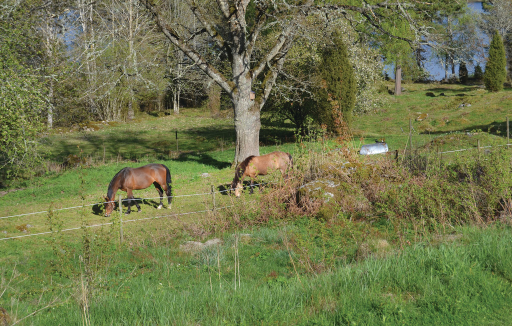Feriehuse - Eksjö , Sverige - S06056 20