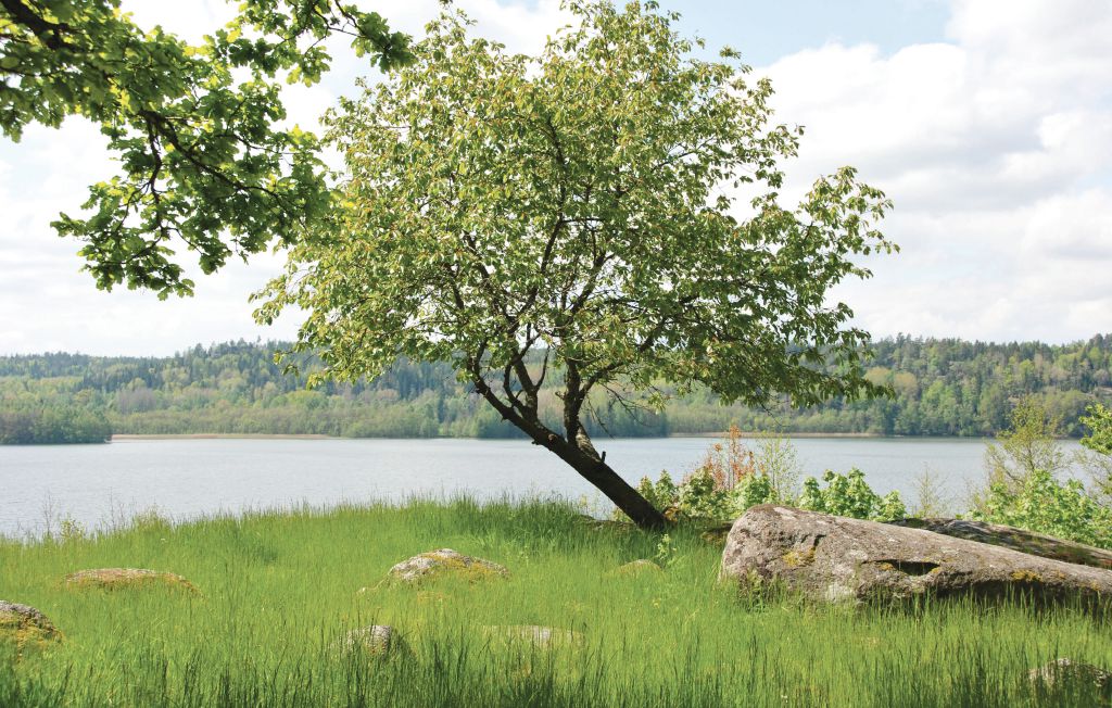 Ferienhaus - Gamleby , Schweden - S06388 12