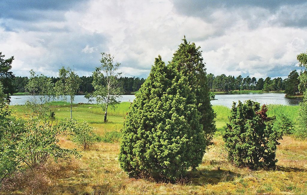 Feriehus - Mönsterås , Sverige - S06076 12