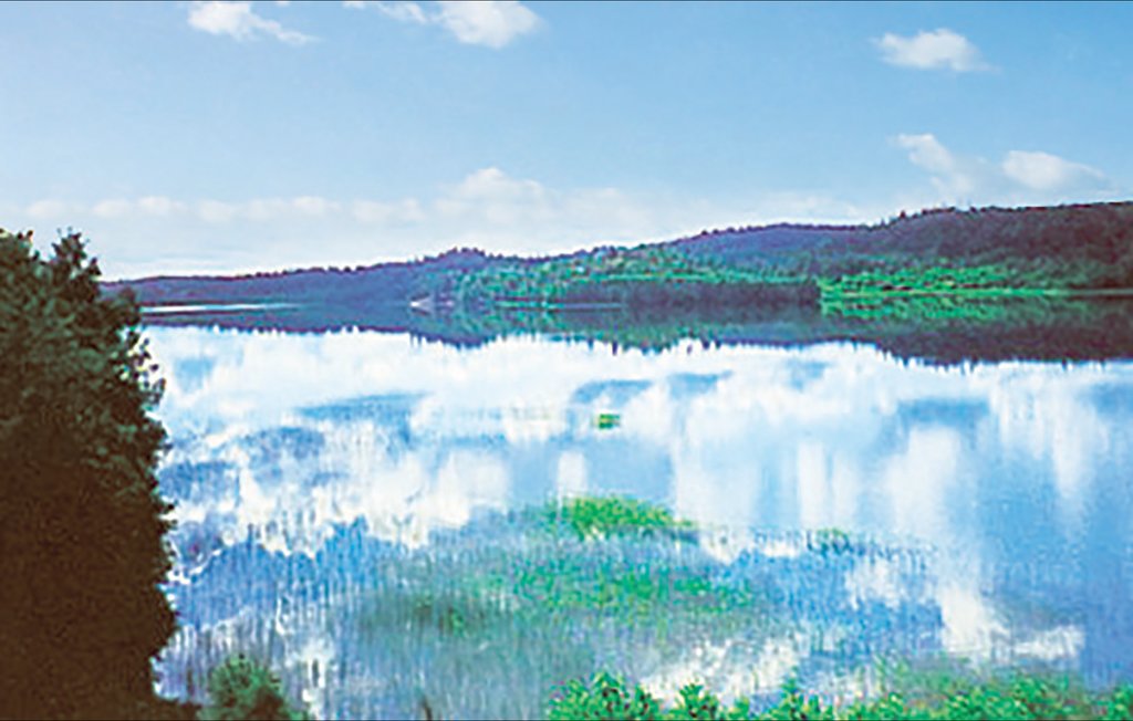 Ferienhaus - Gamleby , Schweden - S06388 2