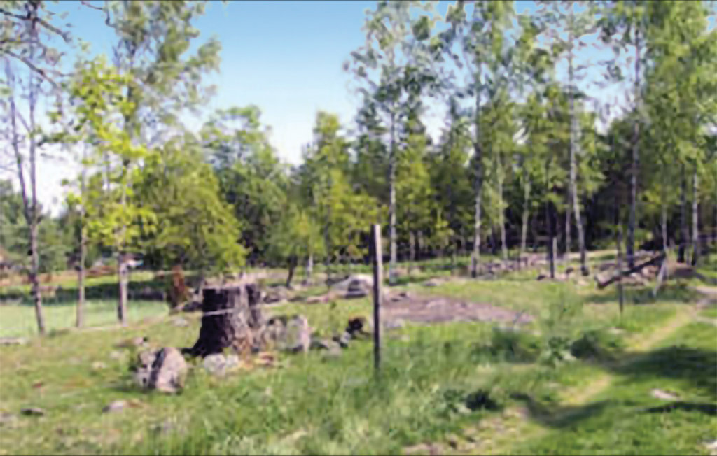 Bild 6 Bild 6