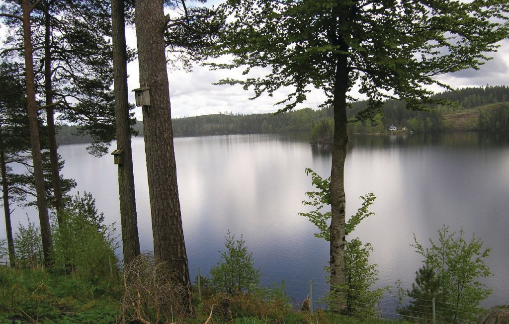 Feriehus - Aplared , Sverige - S07363 4