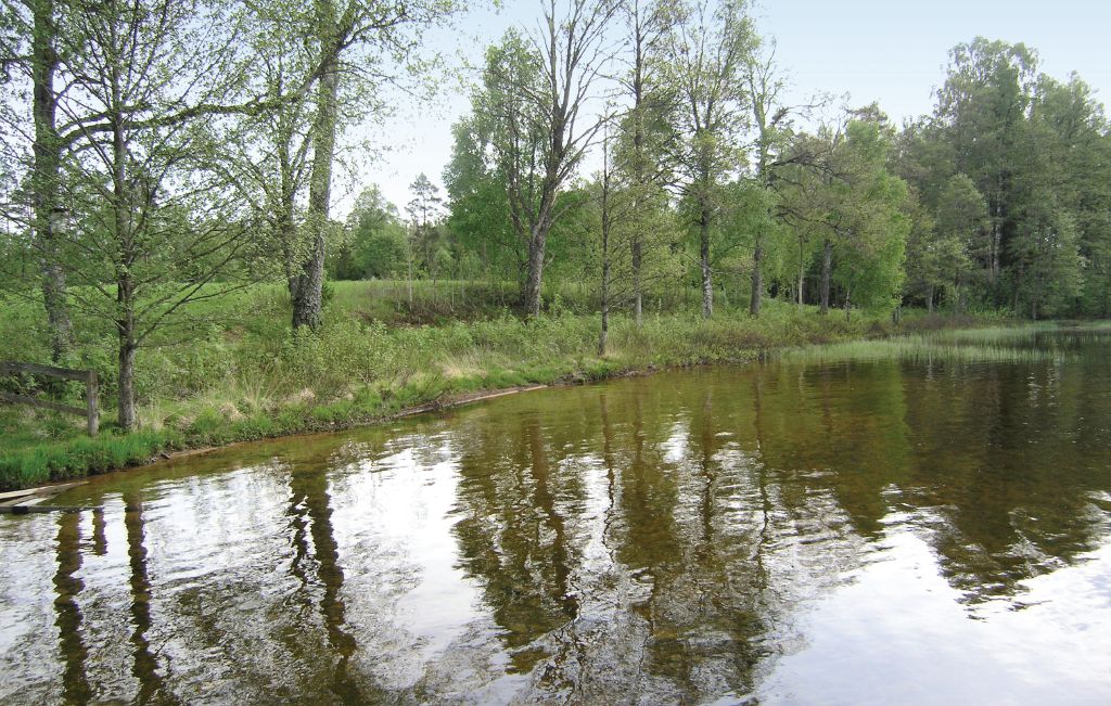 Feriehus - Ambjörnarp , Sverige - S07125 15