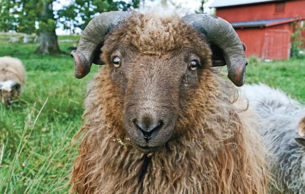 Feriehus - Svenljunga , Sverige - S07231 5