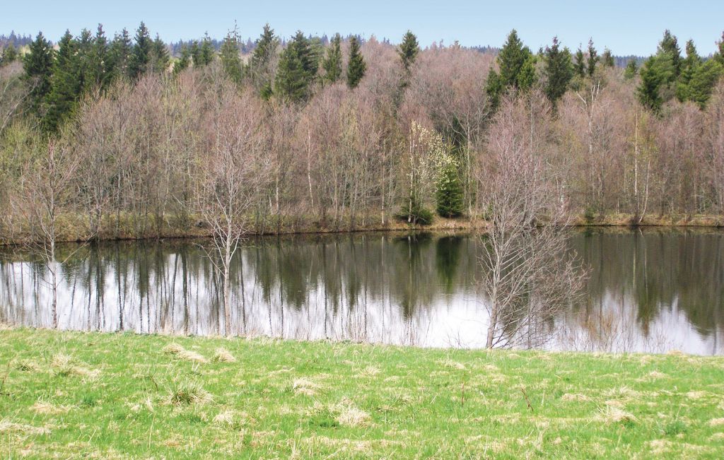 Feriehus - Dalstorp , Sverige - S07097 11