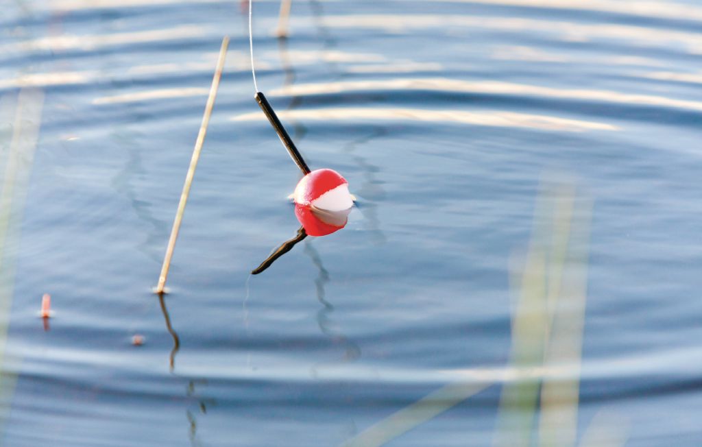 Feriehus - Baggekulla/Lönnern , Sverige - S07172 19