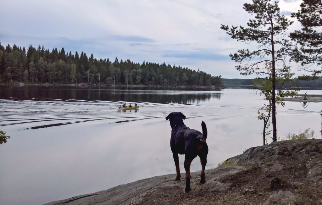 Ferienhaus - Lilla Edet , Schweden - S07880 22