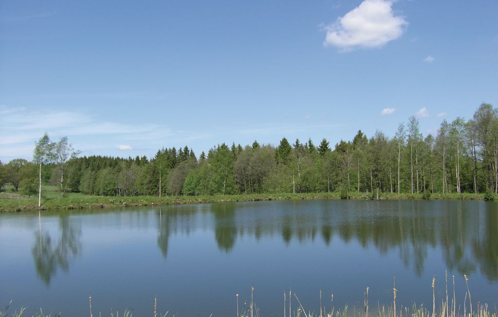 Ferienhaus - Dalstorp , Schweden - S07018 3