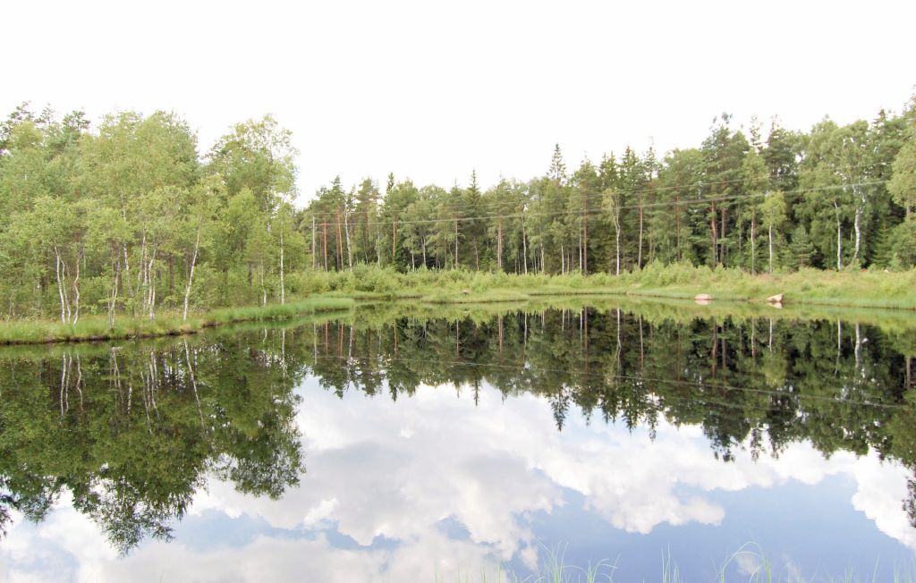 Feriehus - Ljung , Sverige - S07777 9