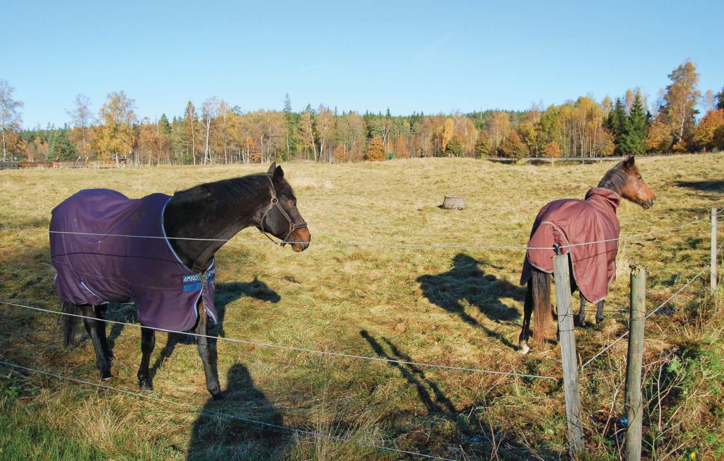 Feriehus - Ambjörnarp , Sverige - S07125 31