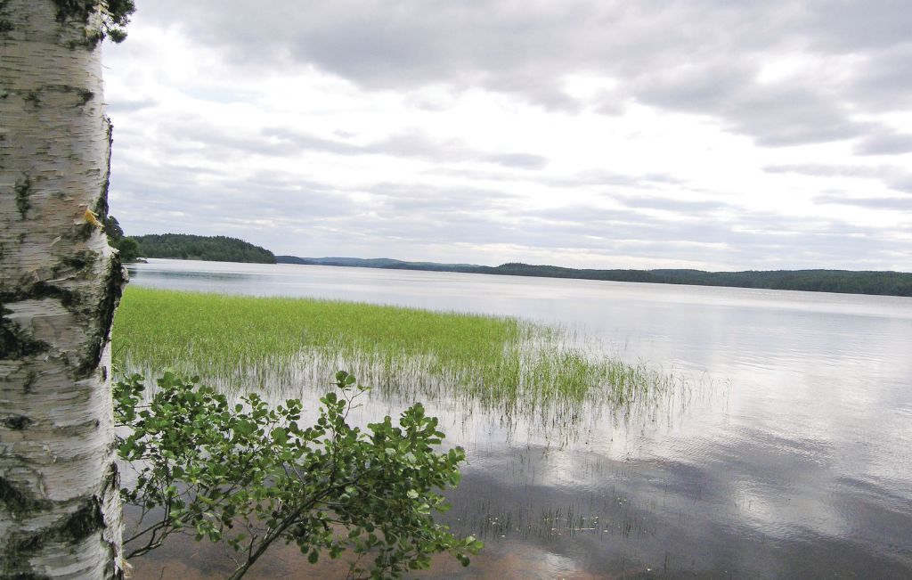 Ferienhaus - Tämta/Fristad , Schweden - S07794 18