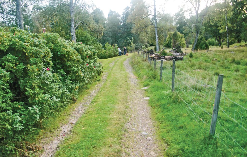 Feriehus - Svenljunga , Sverige - S07231 29