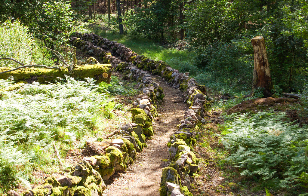 Feriehus - Skepplanda , Sverige - S07758 18