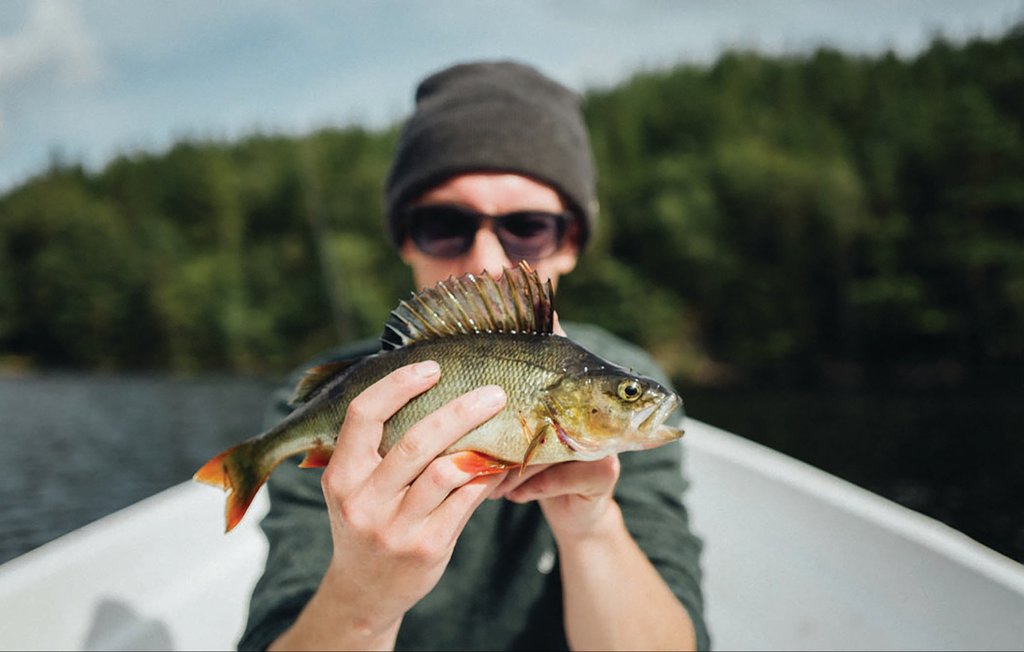 Ferienhaus - Lilla Edet , Schweden - S07880 26