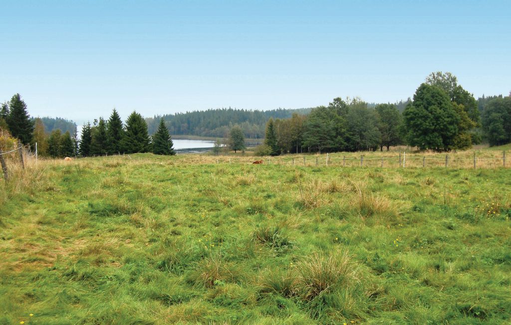 Feriehus - Mårdaklev , Sverige - S07004 22