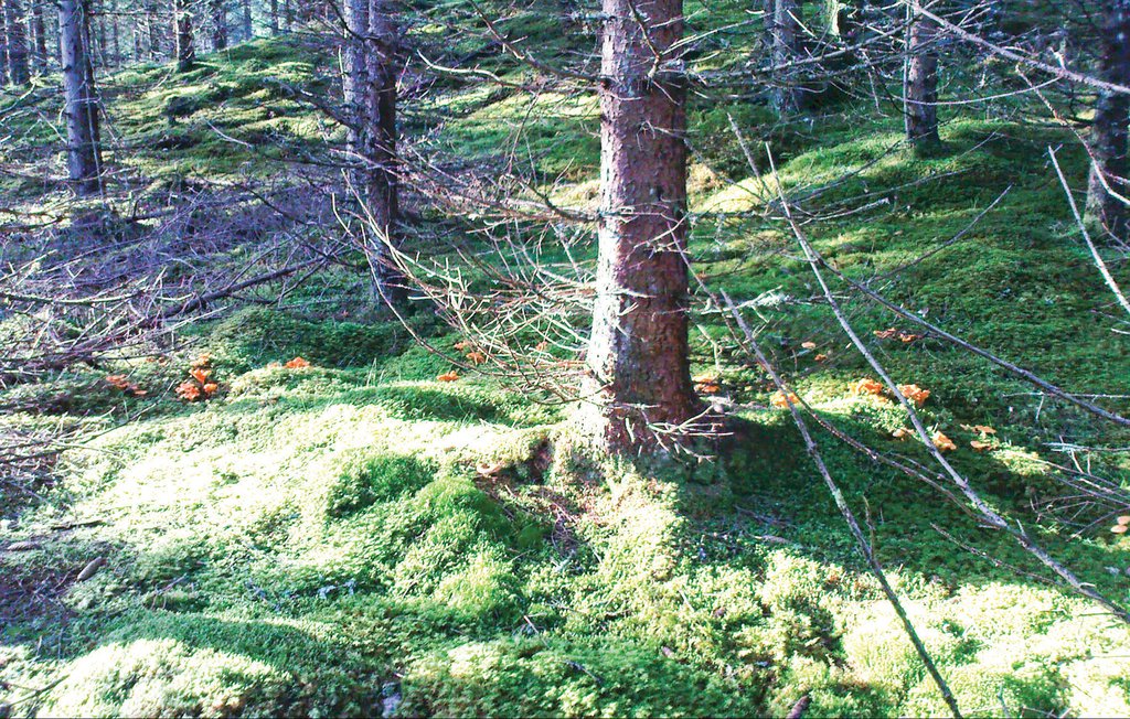 Feriehus - Gårdsjö , Sverige - S07054 11