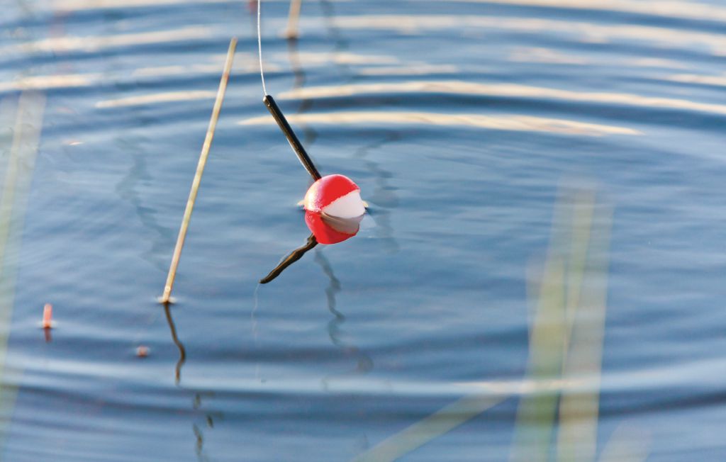 Feriehuse - Baggekulla/Lönnern , Sverige - S07171 17