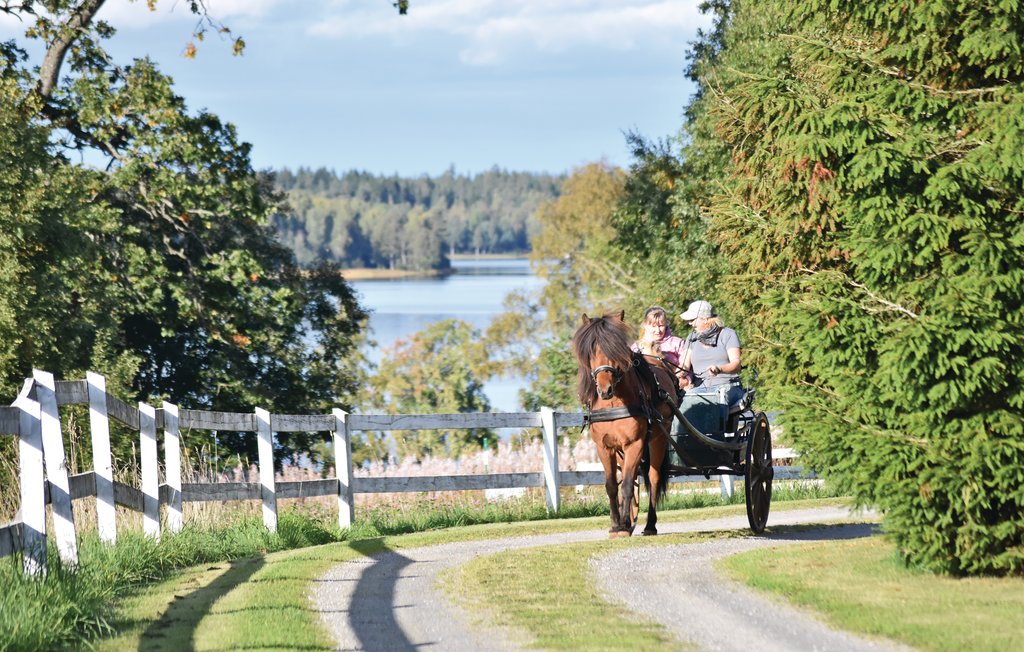 Ferienhaus - Baggekulla/Lönnern , Schweden - S07233 14