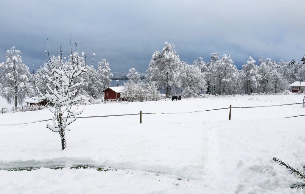 Feriehus - Gällstad , Sverige - S07815 20