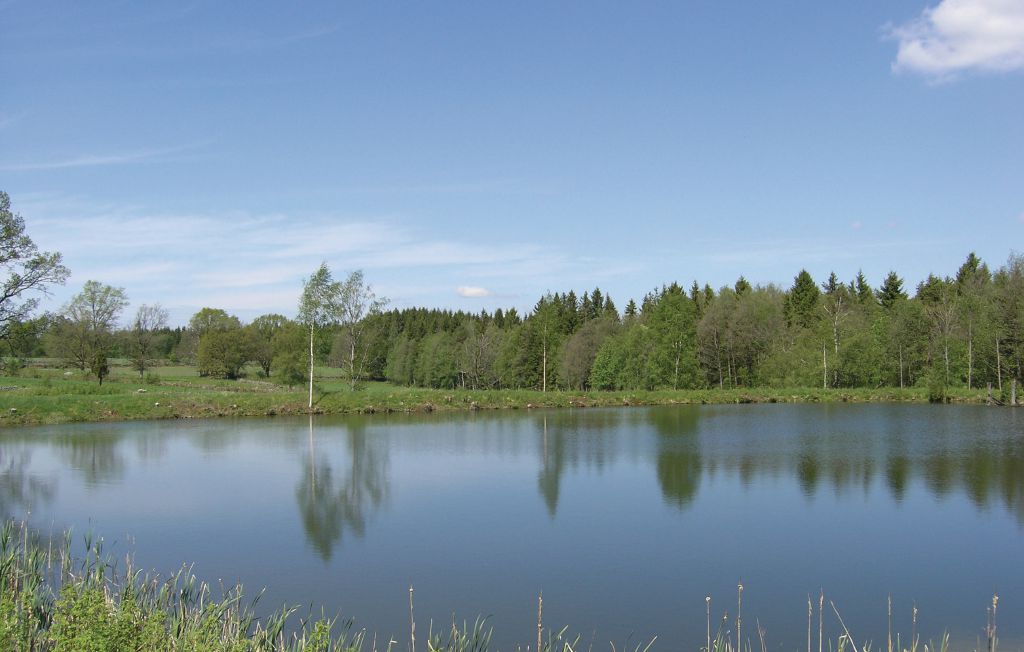 Feriehus - Dalstorp , Sverige - S07097 4