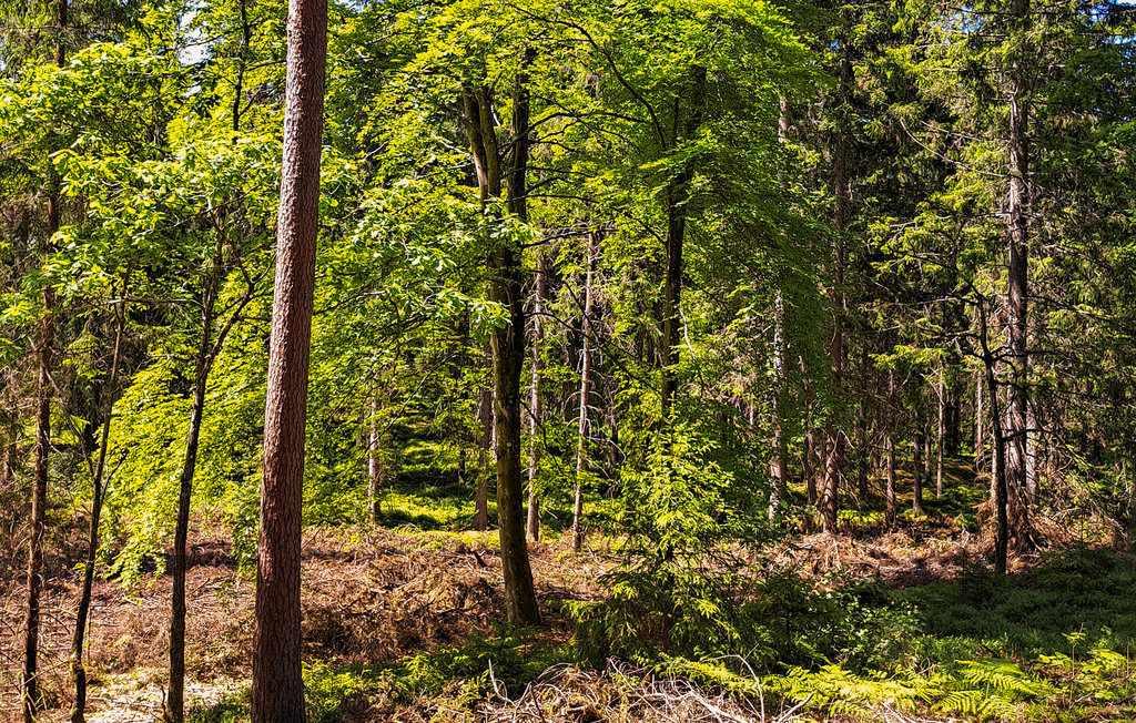Feriehuse - Vårgårda , Sverige - S07061 6