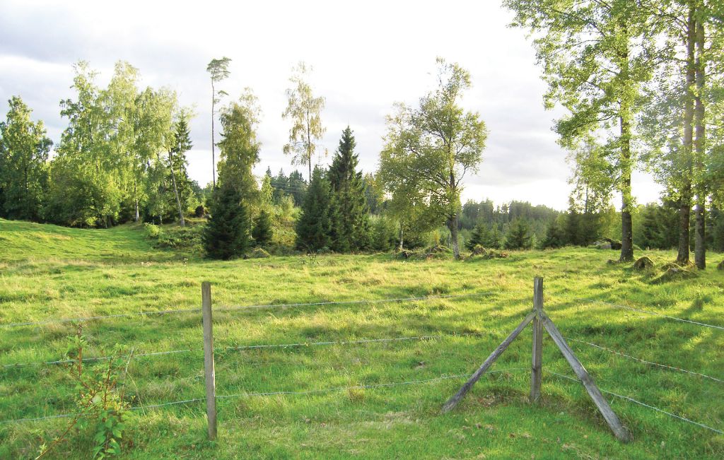 Bild 8 Bild 8