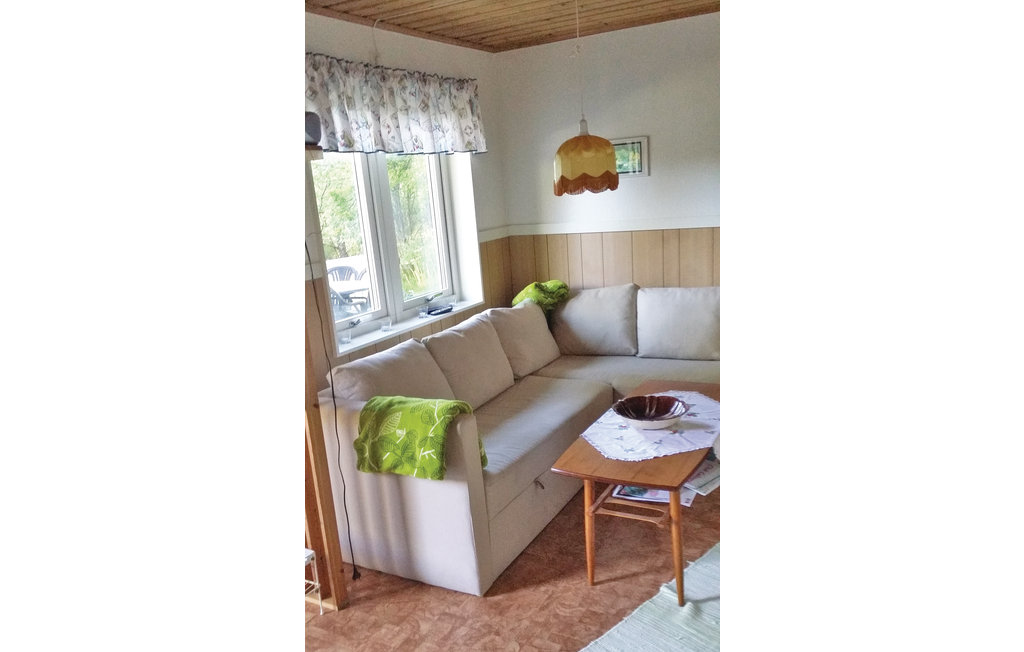 Ferienhaus - Svanesund , Schweden - S08244 4