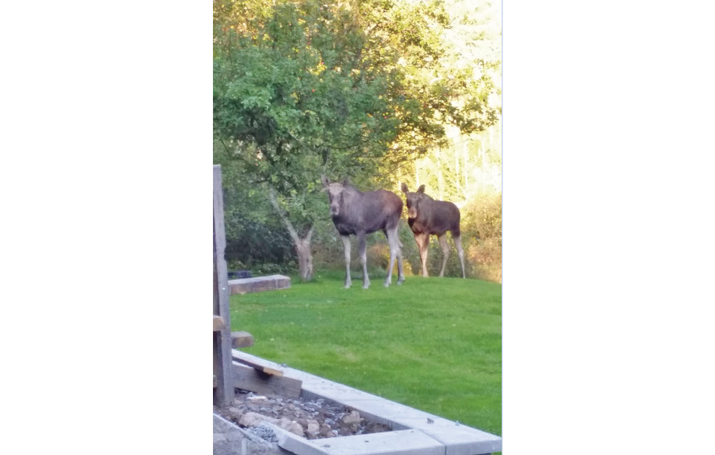 Ferienhaus - Svanesund , Schweden - S08244 8