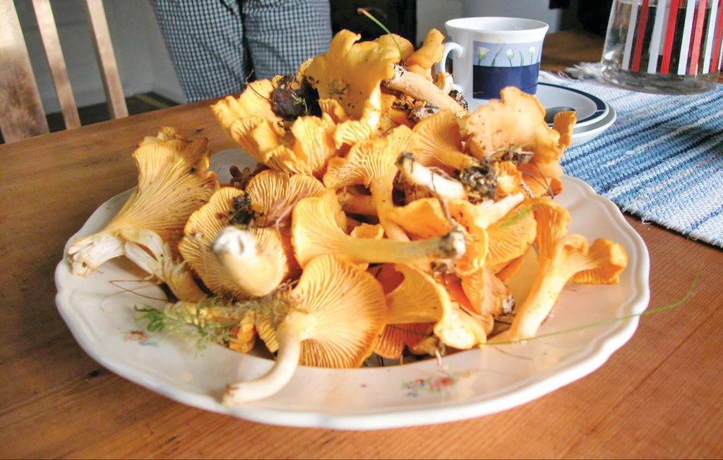 Ferienhaus - Slussen , Schweden - S08087 9